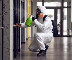 Why You Should Choose Our Mold Remediation Services in Sammamish, WA